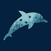 Ocean Reef Life Ocean Reef Life